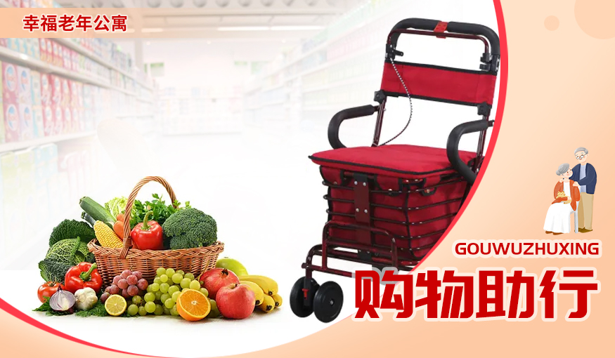 购物助行